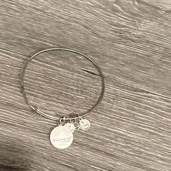 NWOT Women’s Alex and Ani Path Of Life 2014 Rafaelian Silver Bangle - Picture 7 of 8